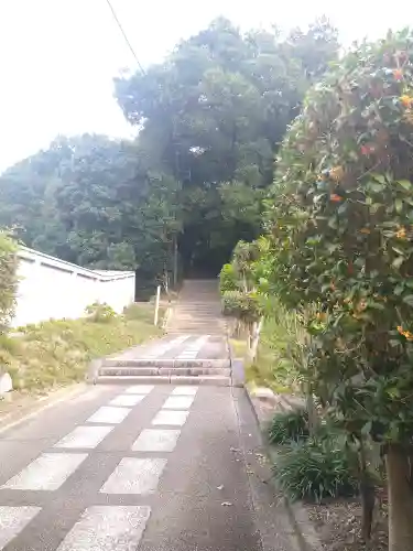 阿智神社の自然