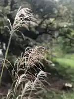 木舟山 順教寺の自然