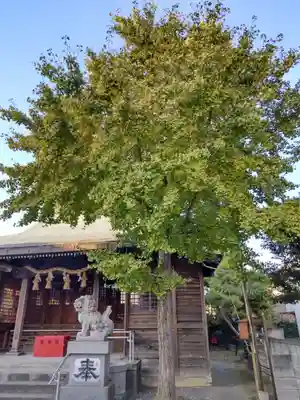 小倉神社の自然