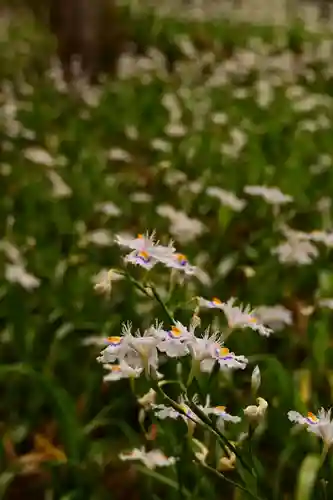久遠寺(山梨県)