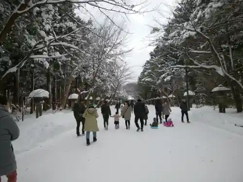 北海道神宮の景色