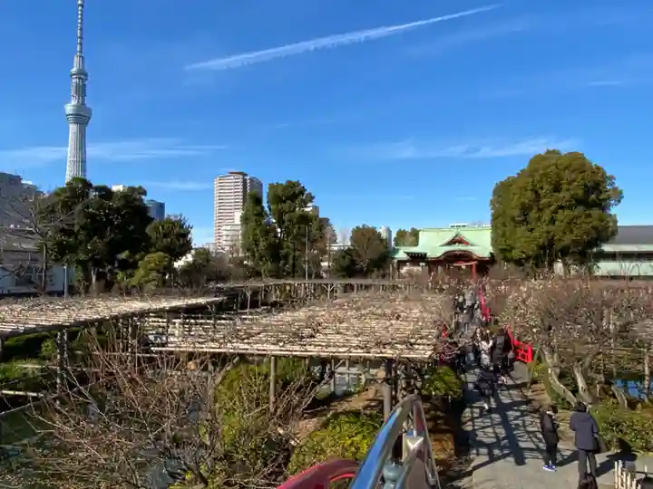 亀戸天神社の庭園