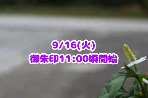 くまくま神社(導きの社 熊野町熊野神社)(東京都)