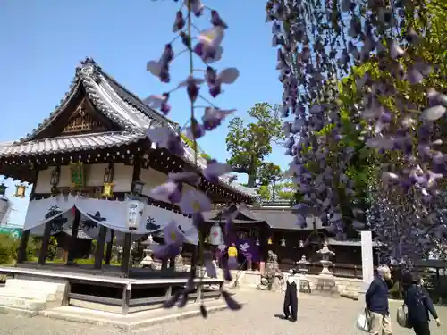 惣社神社の建物その他