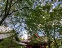井の頭弁財天(大盛寺)(東京都)