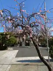 妙輪寺の建物その他