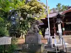 玉川神社の狛犬