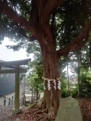 玉前神社(千葉県)