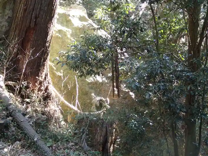 陰陽神社(茨城県)