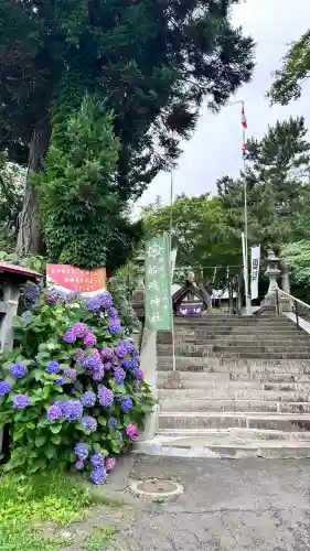 船魂神社の自然
