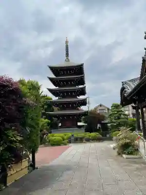 伝乗寺(東京都)