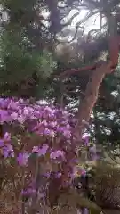 相馬神社(北海道)