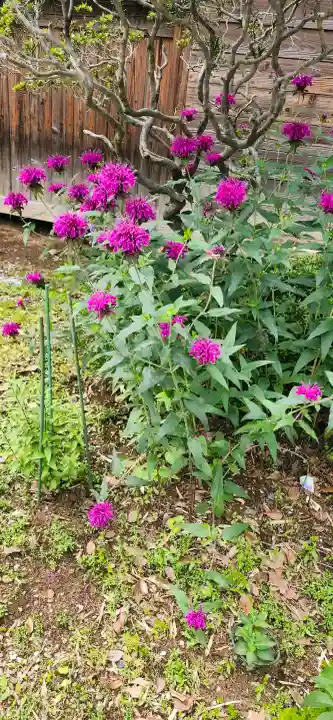 出雲伊波比神社(埼玉県)