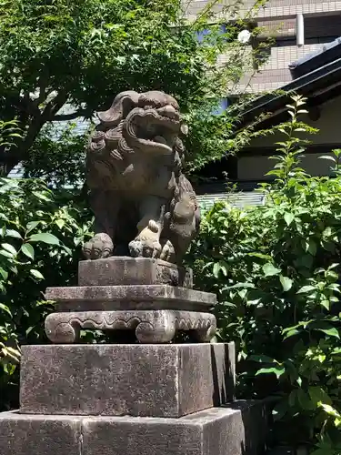 京都ゑびす神社の狛犬
