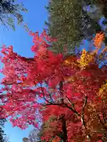 諏訪大社下社秋宮(長野県)