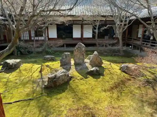 建仁寺（建仁禅寺）の{uncategorized: "未分類", other: "その他", undefined: "問題あり", building: "その他建物", grave: "お墓", sacred_gate: "鳥居", guardian: "狛犬", statue: "像", buddha: "仏像", history: "歴史", nature: "自然", garden: "庭園", animal: "動物", pagoda: "塔", temizu: "手水舎", mountain_gate: "山門・神門", sanctuary: "本殿・本堂", subordinate: "末社・摂社", art: "芸術", scenery: "景色", jizo: "地蔵", ema: "絵馬", goshuin: "御朱印", omikuji: "おみくじ", items: "授与品その他", amulet: "お守り", goshuincho: "御朱印帳", eats: "食事", festival: "お祭り", votive_dance: "神楽", shichigosan: "七五三参", wedding: "結婚式", experience: "体験その他", initially: "初詣", around: "周辺", anti_infection: "感染症対策"}