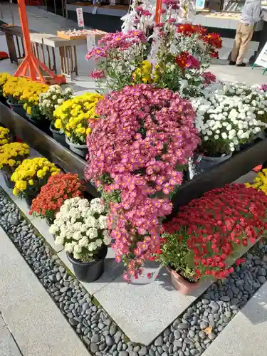 宮城縣護國神社の自然