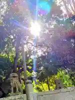 宮處八幡宮(香川県)