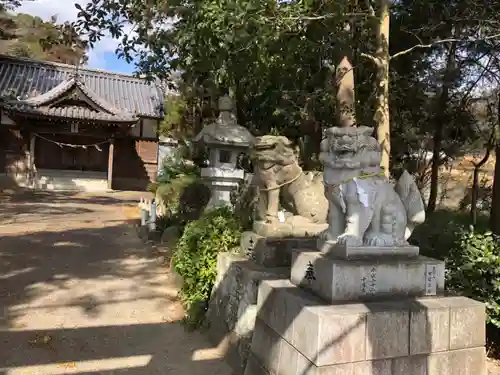 天都賀佐比古神社の狛犬