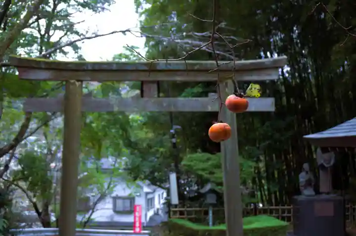 韋駄天神社(東京都)