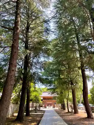 諏訪神社(東京都)