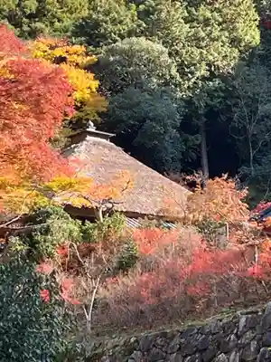 岩滝寺(兵庫県)