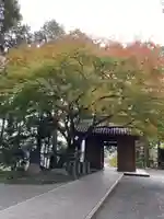 大興善寺の山門・神門