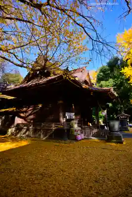 玉敷神社(埼玉県)