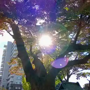 阿邪訶根神社(福島県)(2022年10月21日(金) 19時41分53秒投稿)