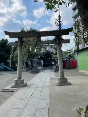 矢口氷川神社の鳥居