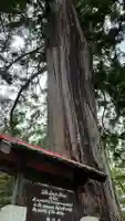 総社(岡山県)