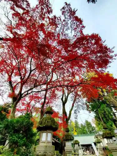 神炊館神社 ⁂奥州須賀川総鎮守⁂の景色