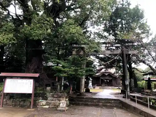 八幡神社の鳥居