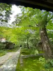 蓮華寺（洛北蓮華寺）の建物その他