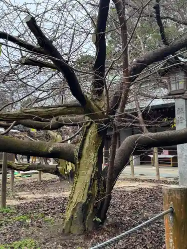 宮地嶽神社(福岡県)
