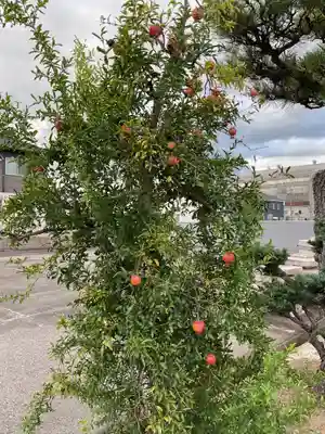 妙禅寺(愛知県)