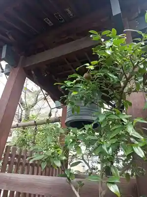 源覚寺(東京都)