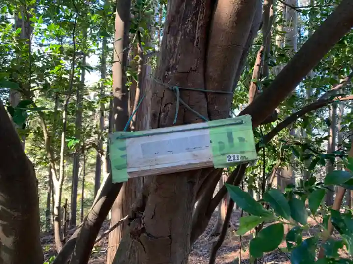 三峰神社の自然