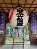 白金龍王社(愛知県)