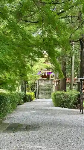 高鴨神社(奈良県)