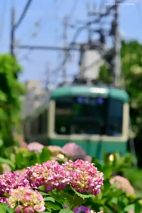 御霊神社の周辺