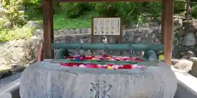 岡寺(龍蓋寺)(奈良県)