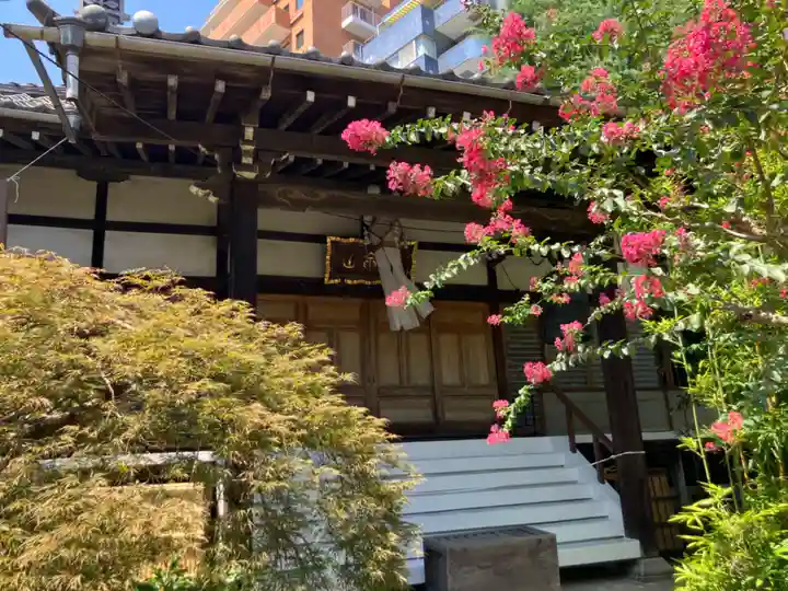 妙円寺(東京都)