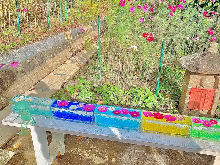 般若寺 ❁コスモス寺❁(奈良県)