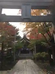 彌彦神社　(伊夜日子神社)(北海道)