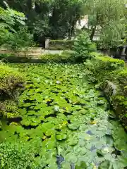 雲樹寺(島根県)