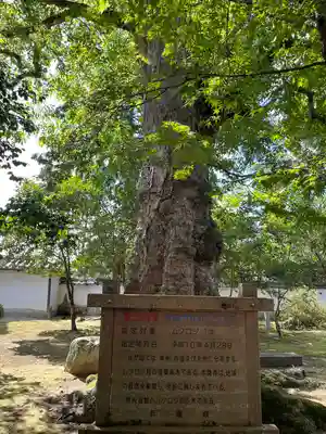 多田神社(兵庫県)