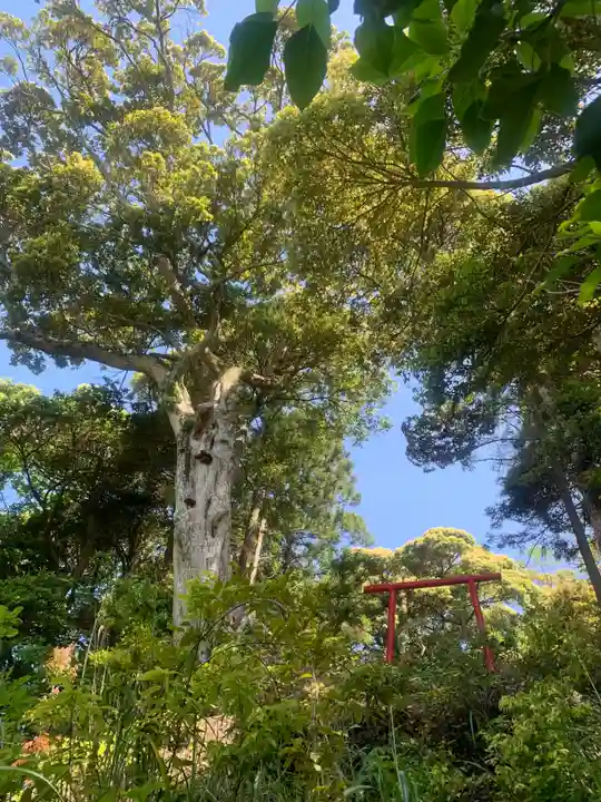 三宝荒神の自然