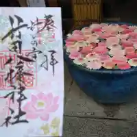 行田八幡神社の御朱印