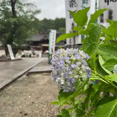 手力雄神社のその他建物